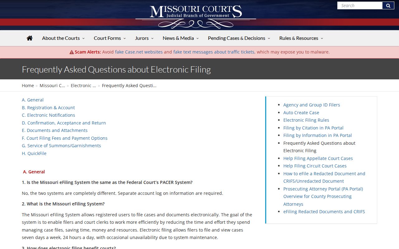 Vernon County civil docket and Missouri eFiling public-access distinction